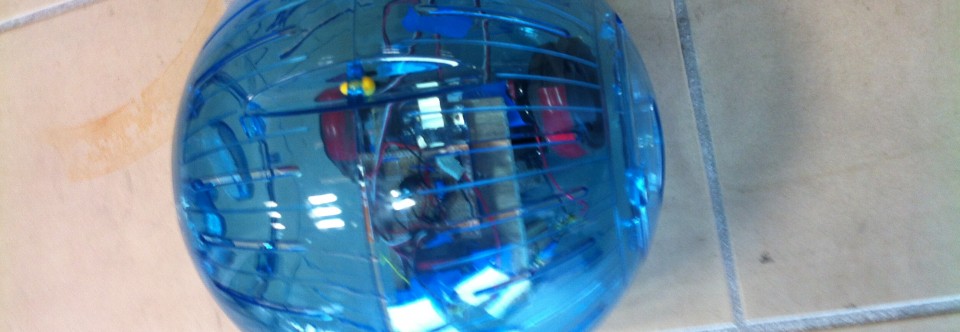 Projet &laquo;&nbsp;Robot Hamster&nbsp;&raquo;