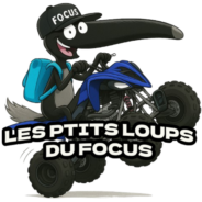 F.O.C.U.S : Etat De L’Art