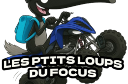 F.O.C.U.S : Etat De L’Art